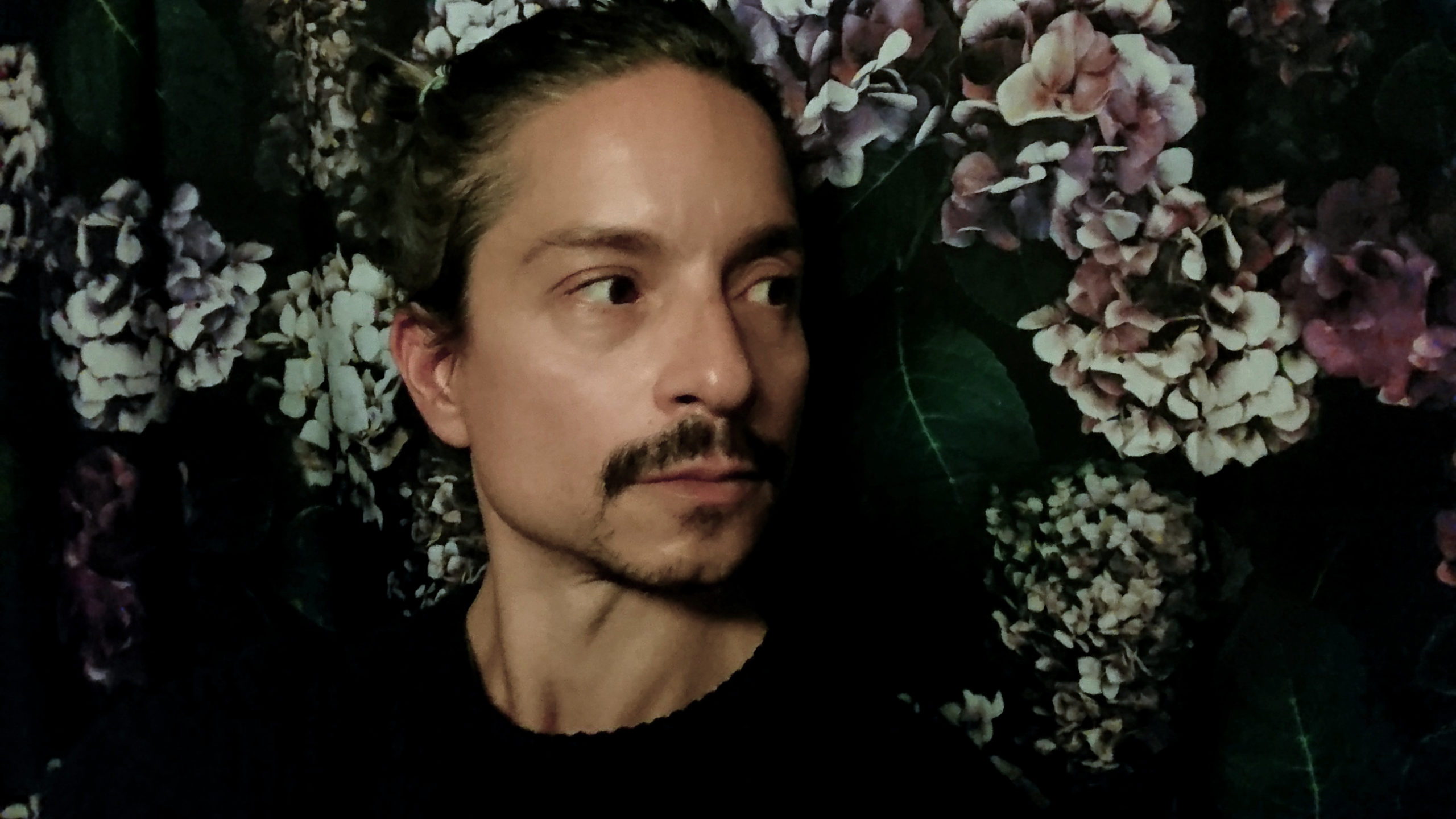 Xavier Loira, dandy cash